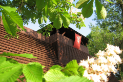 Grod-w-Grzybowie-Dagmara-Frydrychowicz