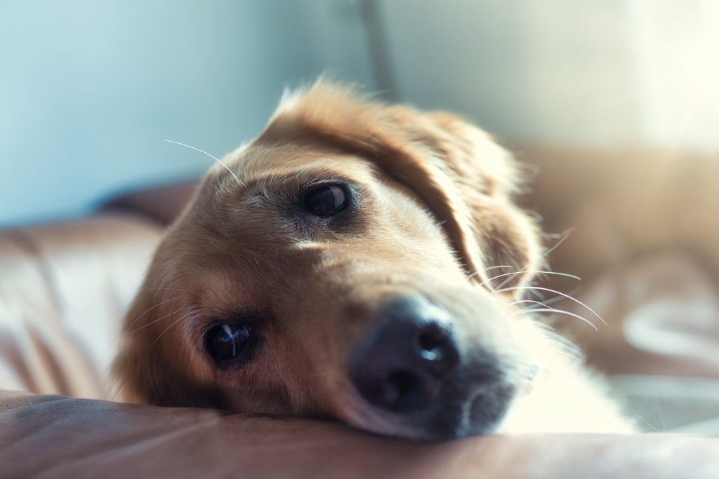 Foto von REGINE THOLEN auf Unsplash